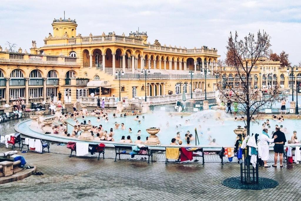 Wellness Wonderland Garden, Sauna, Jacuzzi In Cbd Boedapest